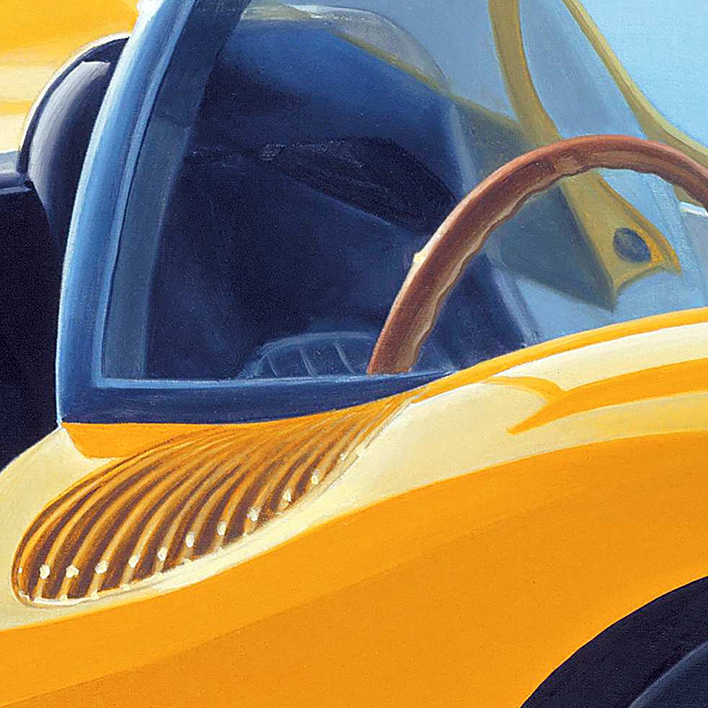 Auto-portrait-Ferrari-butterfly.