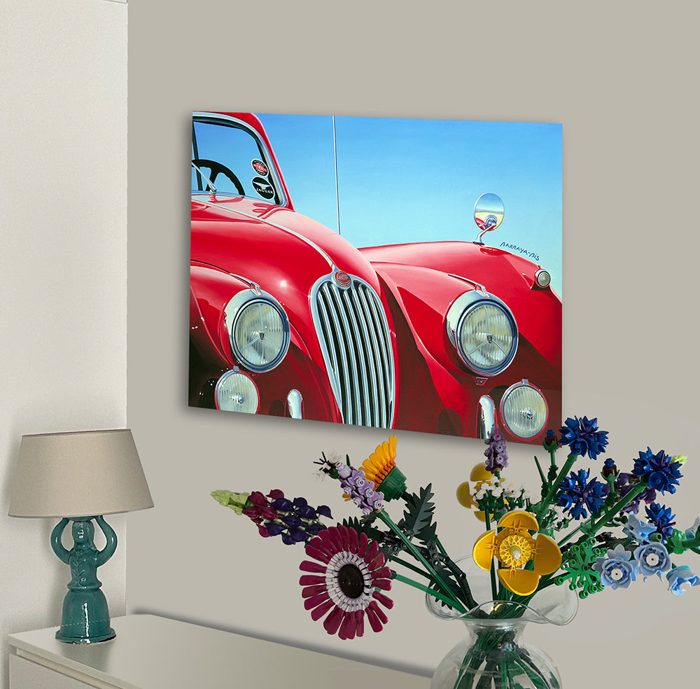 Auto-portrait Jaguar. en situation Impression HD par barraya-bis