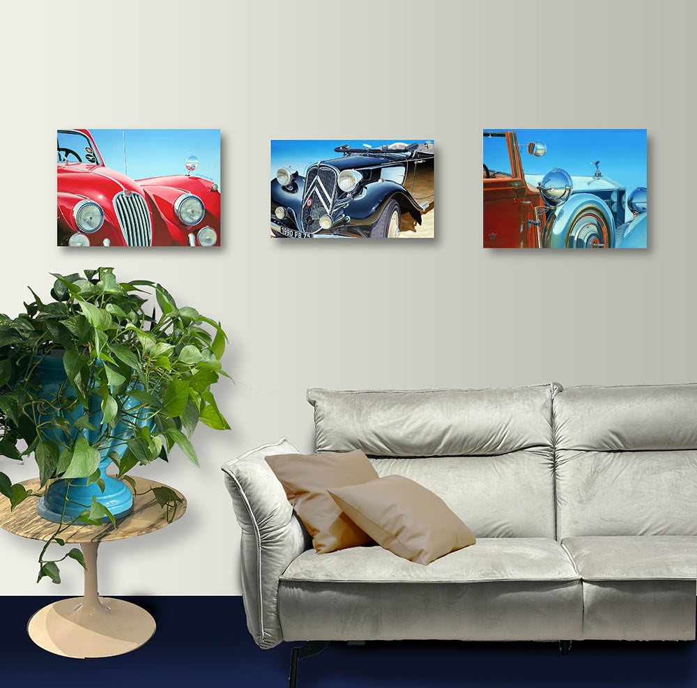 Auto-portrait Traction. et deux autres tableaux / barraya-bis / dans 1living / Impression HD