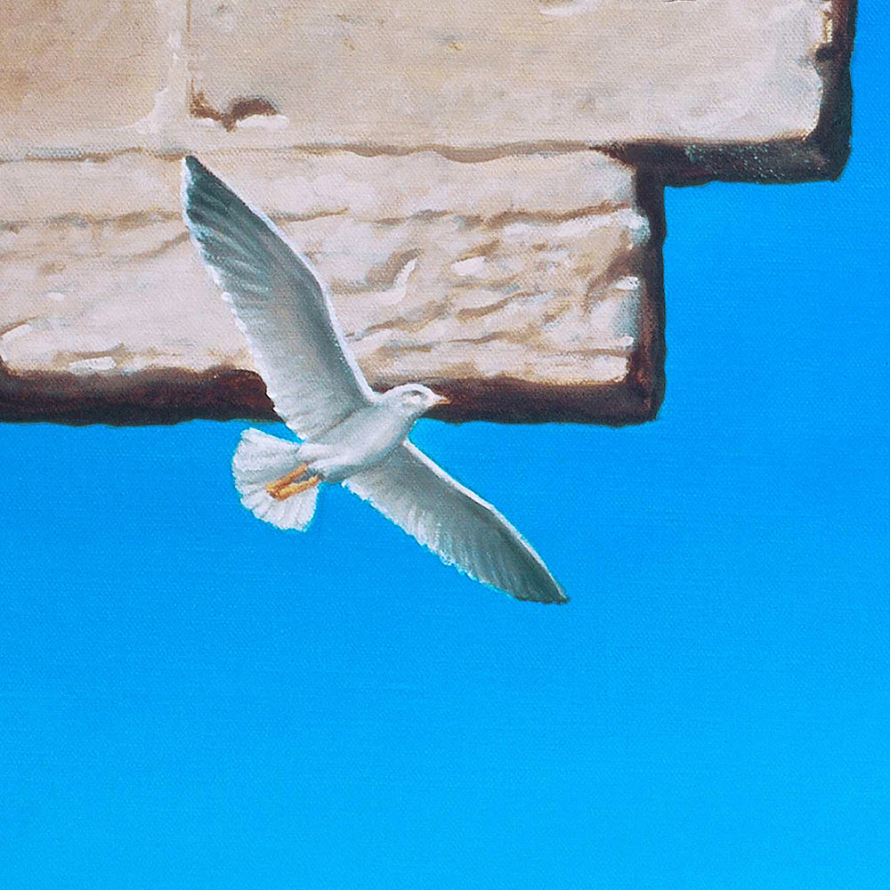 Imagine. / barraya-bis /détail : la mouette / Impression HD