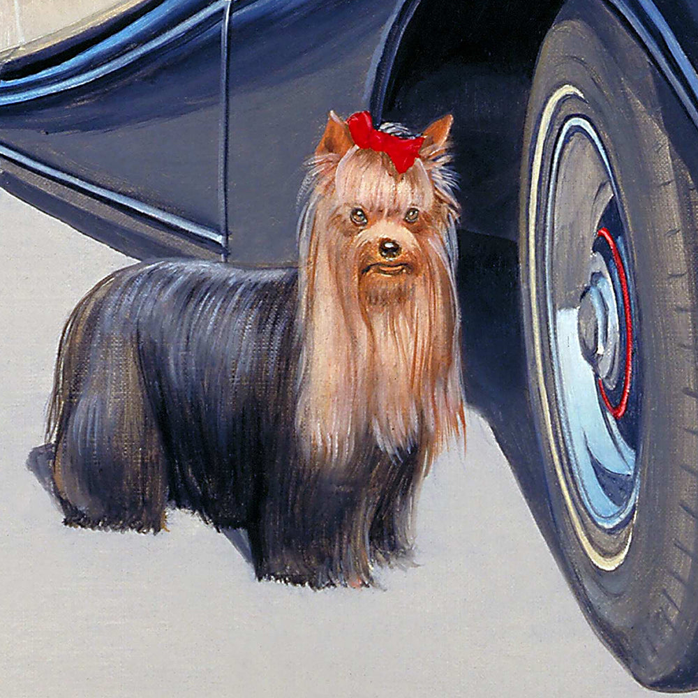 Une vie de chien. détail du joli petit chien avec son nœud  rouge sur la tête. / Barraya-bis